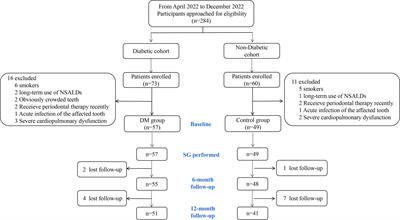 Impact of sleeve gastrectomy on the periodontal status of patients with and without type 2 diabetes: a 1-year prospective real-world study